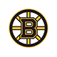 Boston Bruins