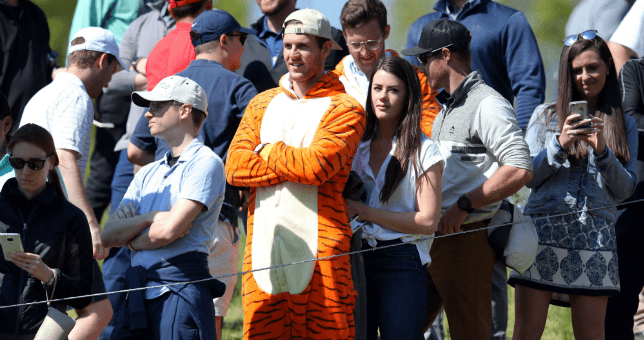 FanDuel Offers Refunds for Woods Win with Big Cat, Cash Back