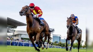 Jump Stars All Set For Dublin Racing Festival at Leopardstown