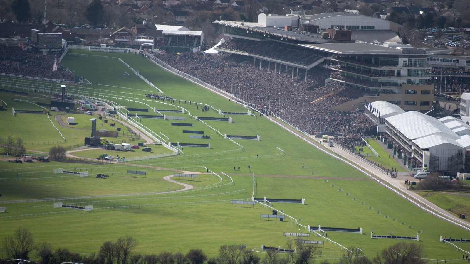 Cheltenham Festival Trends 2026: Cheltenham Stats & Trends For All Races
