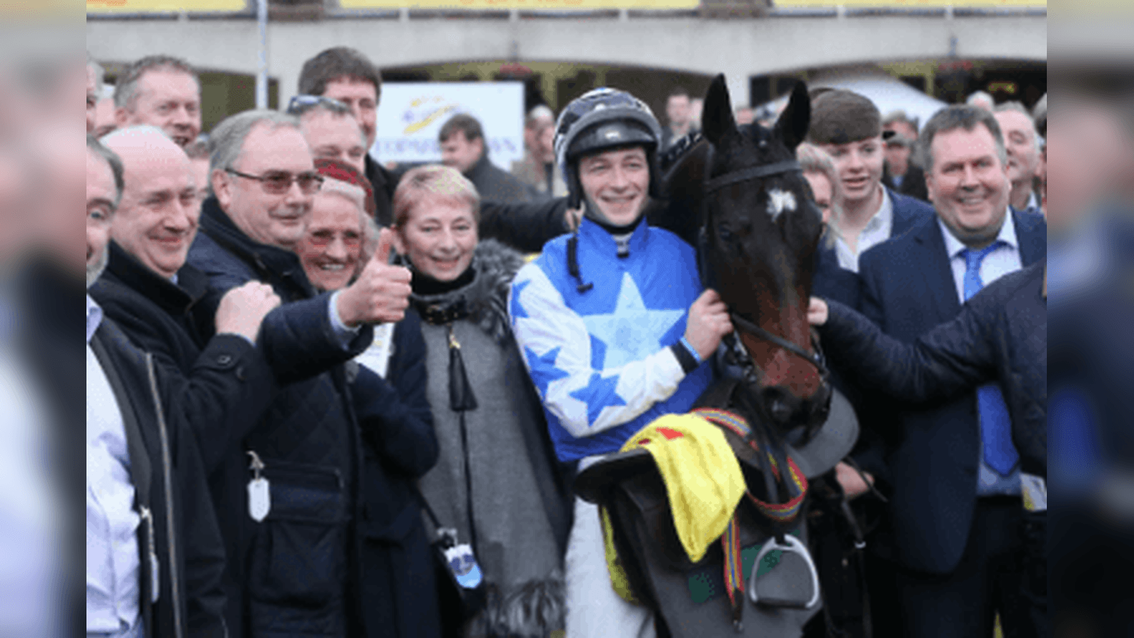 Gold Cup Fav Kemboy Banned Over Owner Fraud Allegations