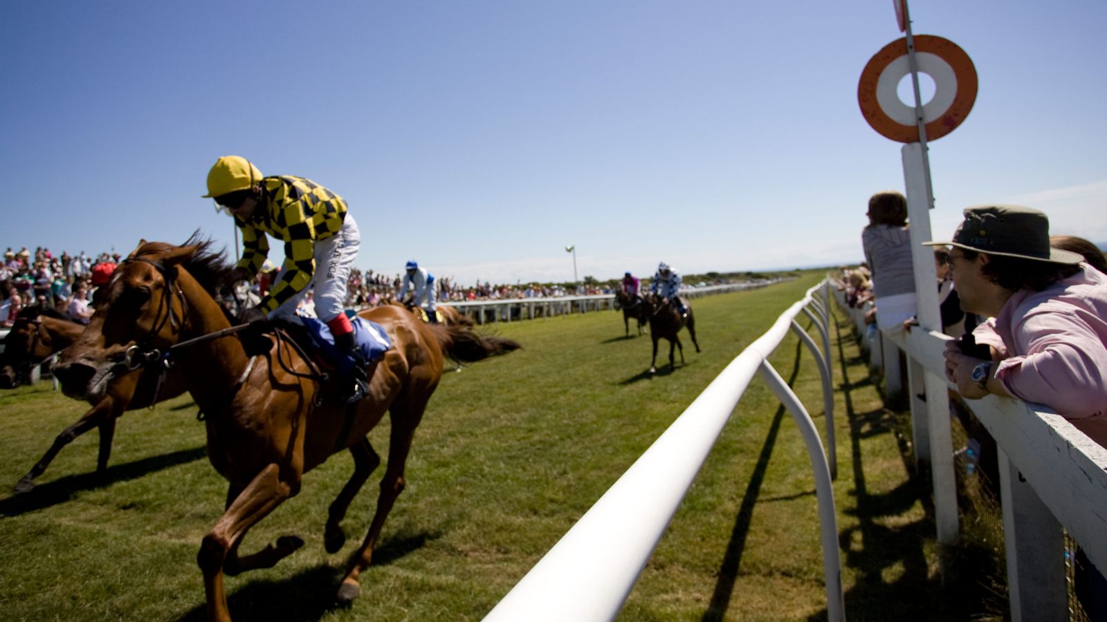 bet365 Grand National Free Bets Bet £10 Get £30: bet365 Aintree Betting Offers 2026