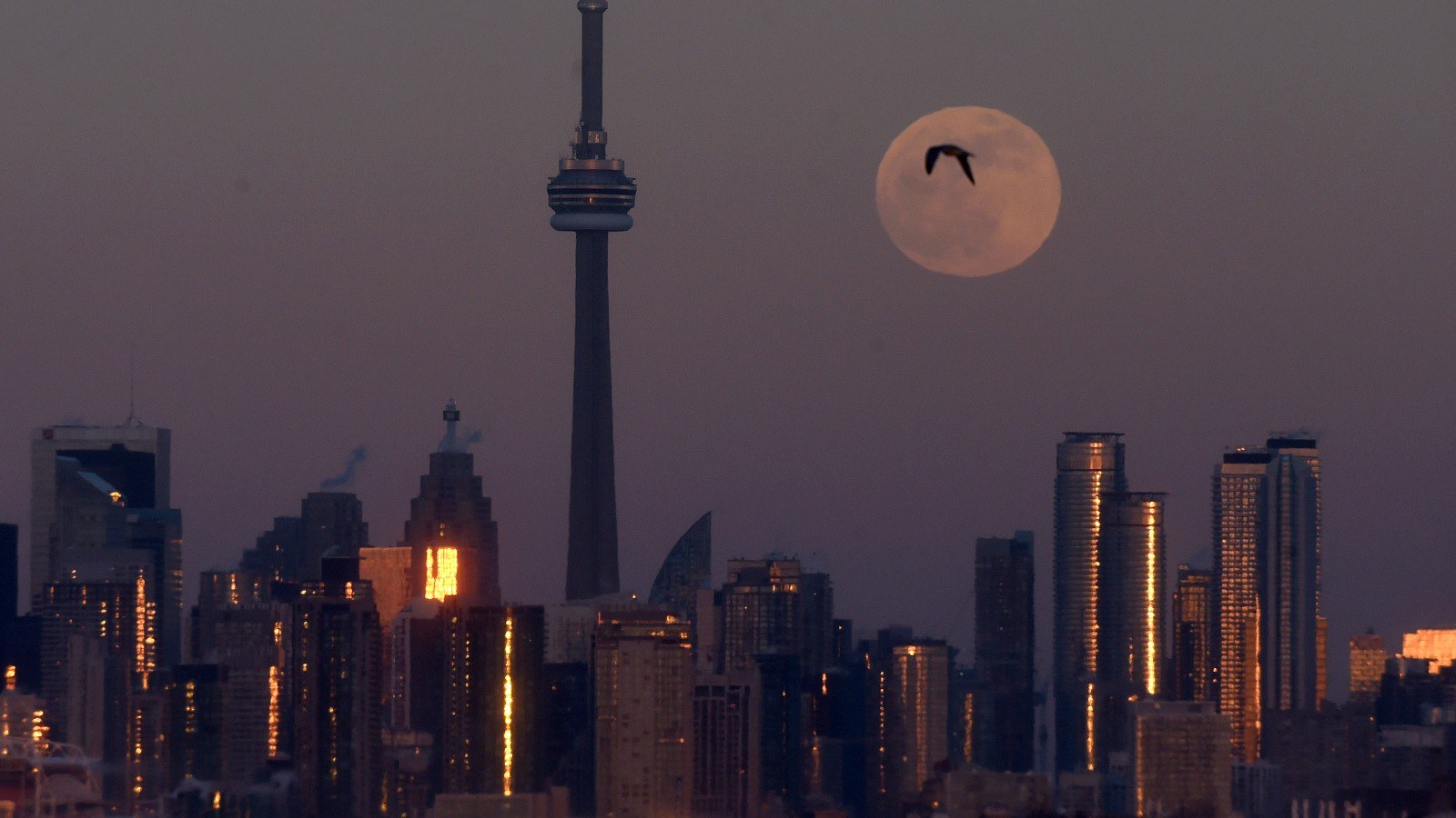 What Penn National-theScore Deal Means For Canadian Bettors