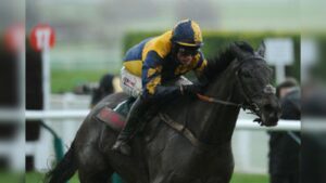 Sandown Betting Tips: Express To Win Tricky Veterans Final