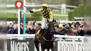 Gold Cup Trends and Free Bets For The Cheltenham Festival 2025