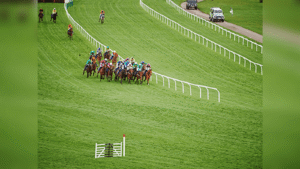 Cheltenham Cross Country Chase Trends for 2024 Cheltenham Festival