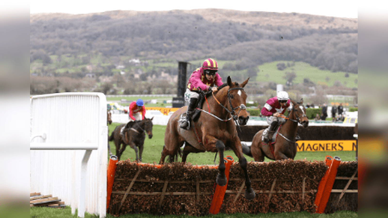Albert Bartlett Novices' Hurdle Trends for the 2026 Cheltenham Festival
