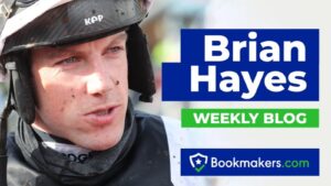 Dublin Racing Festival 2023 Review