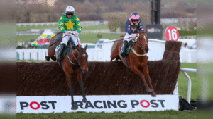 National Hunt Novices' Chase Trends for the 2024 Cheltenham Festival