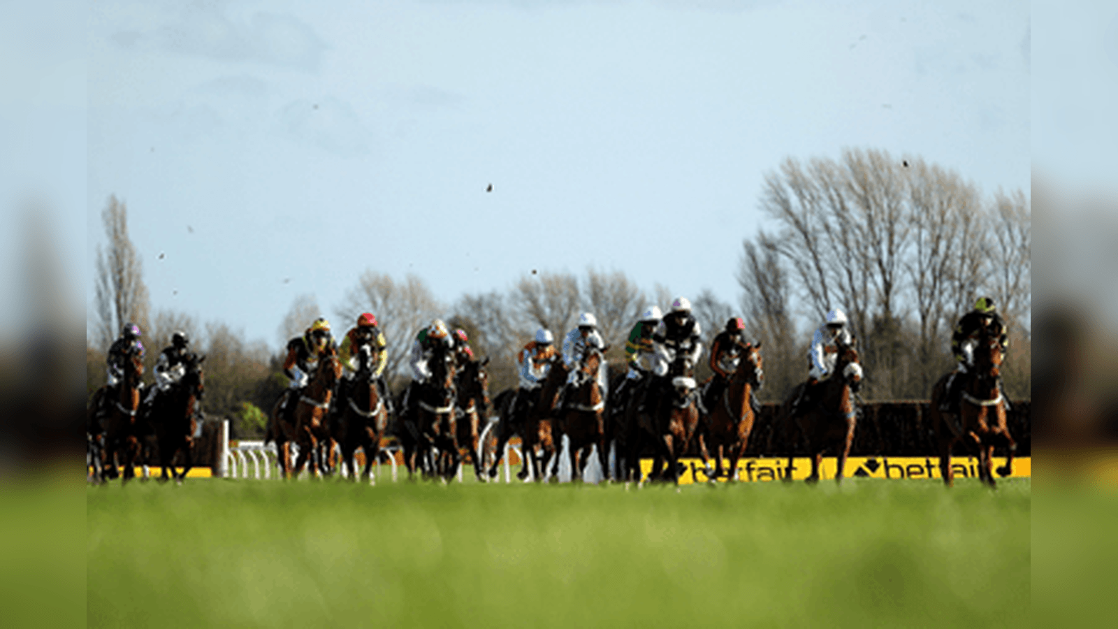 Betfair Hurdle Betting Trends and Big Race Verdict