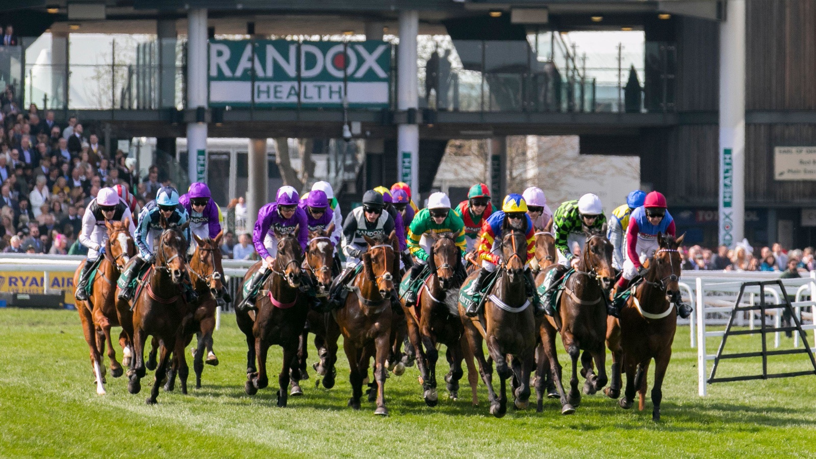 How to Bet on the Grand National Online 2026 - How to Place Your Bets Today & How to Sign Up