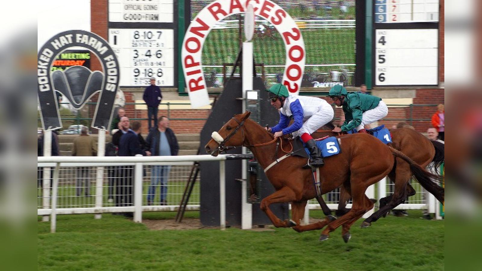 Tote Scoop 6 Races & Expert Betting Tips Saturday 31st {{