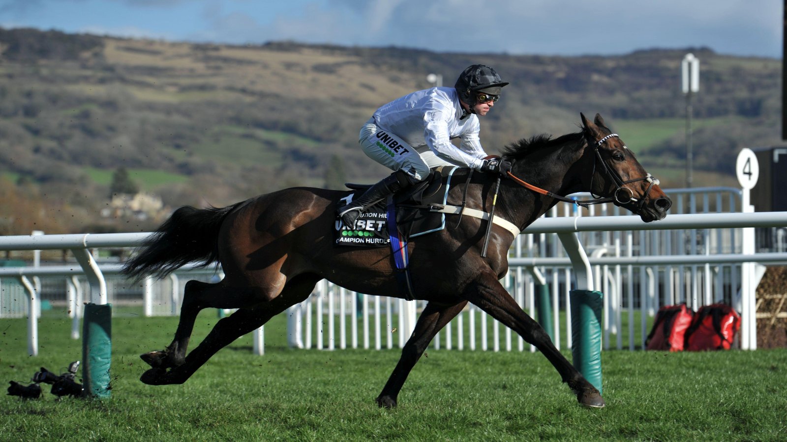 Constitution Hill Specials, Betting Odds For Southwell & Cheltenham Festival